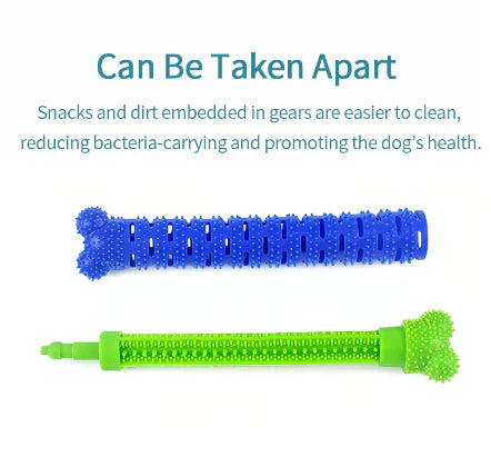 Nettoyage des dents de chien