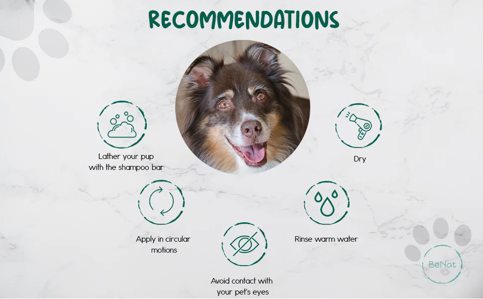 Animaux de compagnie BeNat. Barre de shampooing entièrement naturelle pour animaux de compagnie. Aavoine. 5.8 oz.