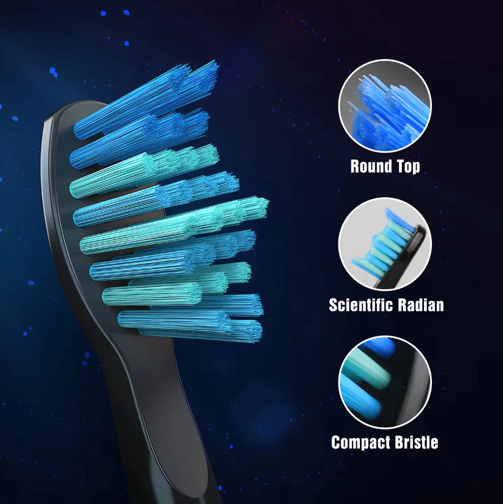 Seago Sonic Brosse à dents Brosse à dents électrique Nettoyage des dents 5 modes avec 8 têtes de brosse remplaçables Minuterie de 2 min avec boîte portable