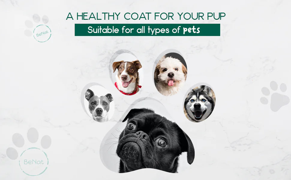 Animaux de compagnie BeNat. Barre de shampooing entièrement naturelle pour animaux de compagnie. Aavoine. 5.8 oz.