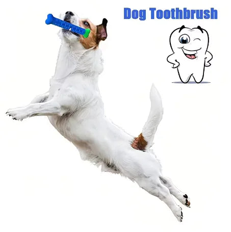 Nettoyage des dents de chien