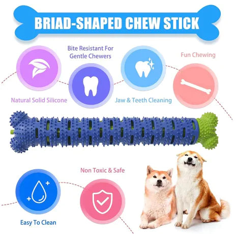 Nettoyage des dents de chien