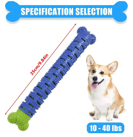 Nettoyage des dents de chien