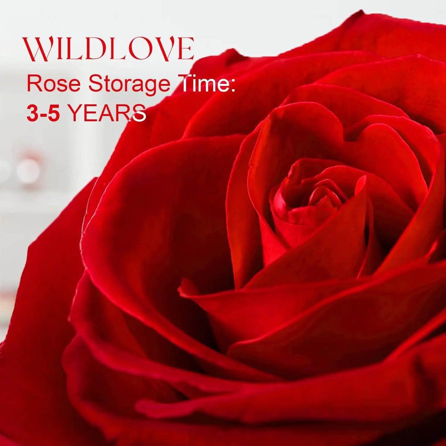 WILDLOVE Preserved Real Rose with I Love You Necklace, Cadeaux de Noël pour femmes, maman, grand-mère, femme et petite amie, anniversaire de la Saint-Valentin Idées de cadeaux pour la fête des mères pour elle