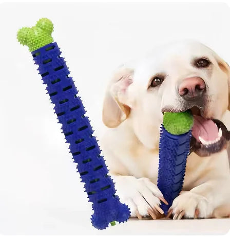 Nettoyage des dents de chien