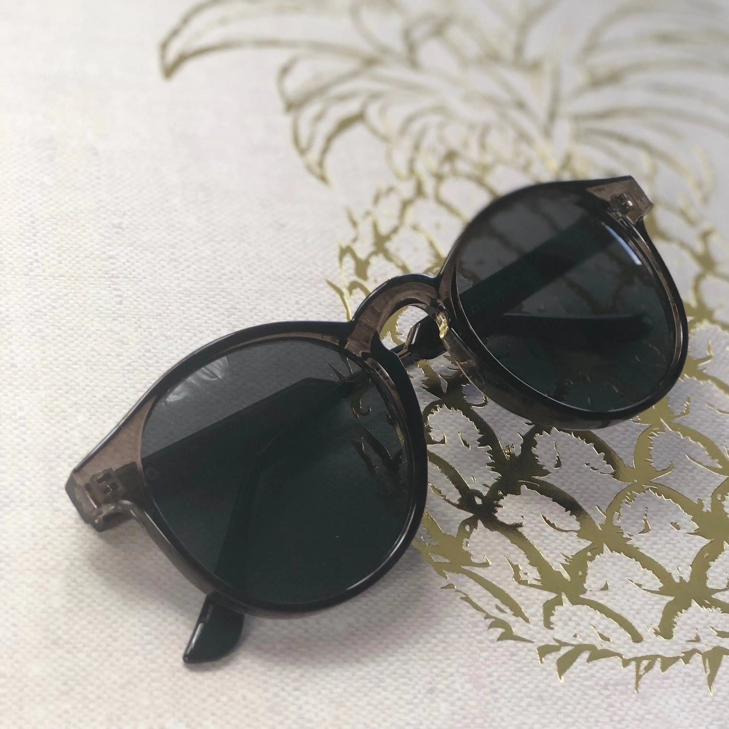 Belles lunettes de soleil avec étui